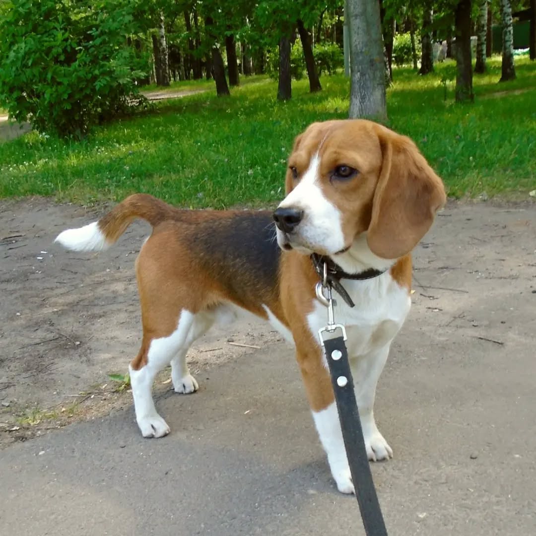 WhatsApp Image 2025-01-12 at 19.38.22 (1)