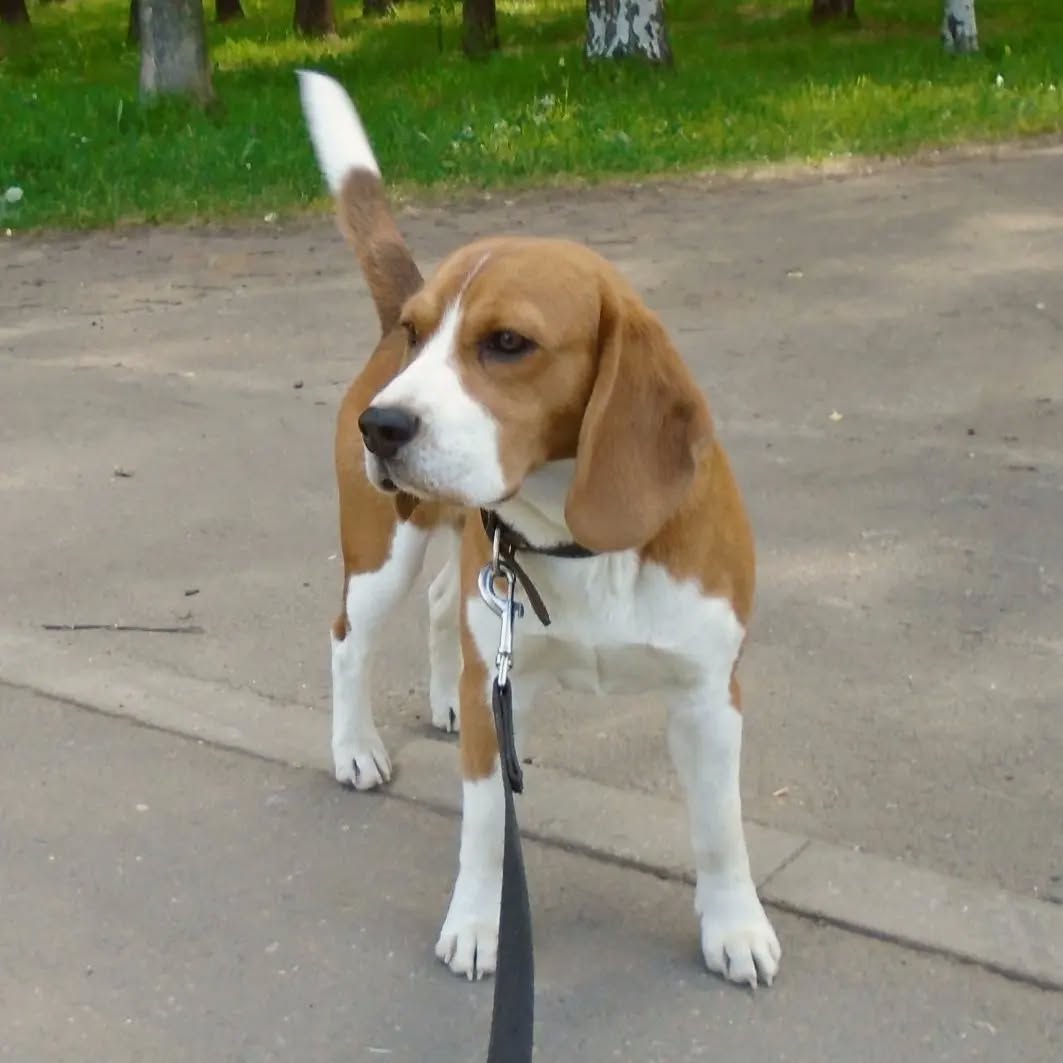 WhatsApp Image 2025-01-12 at 19.38.22