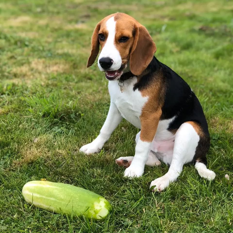 WhatsApp Image 2025-01-12 at 19.40.57