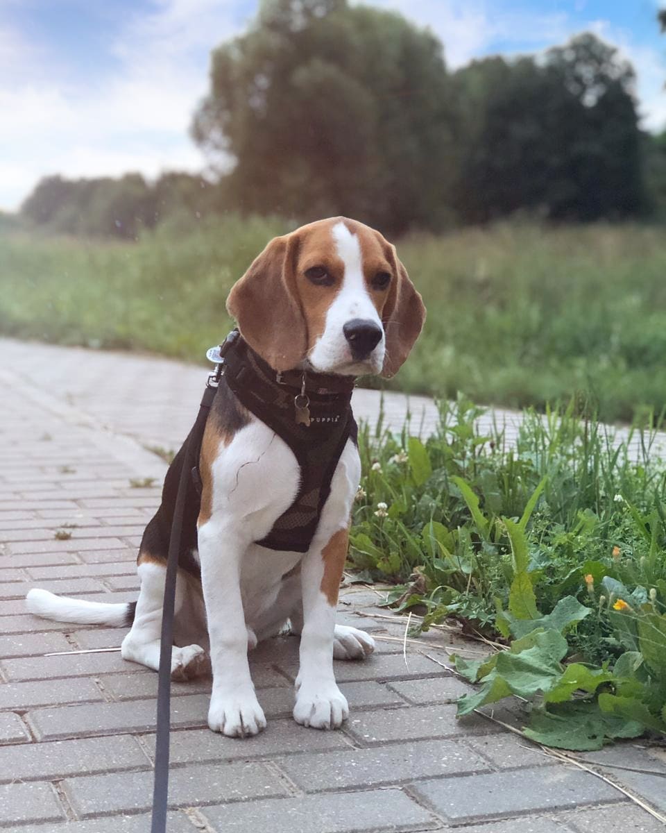 WhatsApp Image 2025-01-12 at 19.40.58