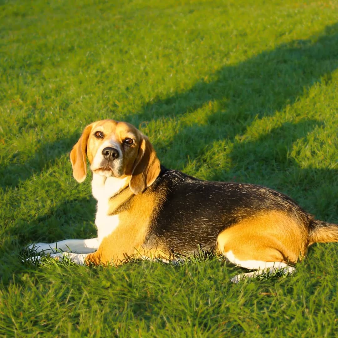 WhatsApp Image 2025-01-13 at 00.13.14