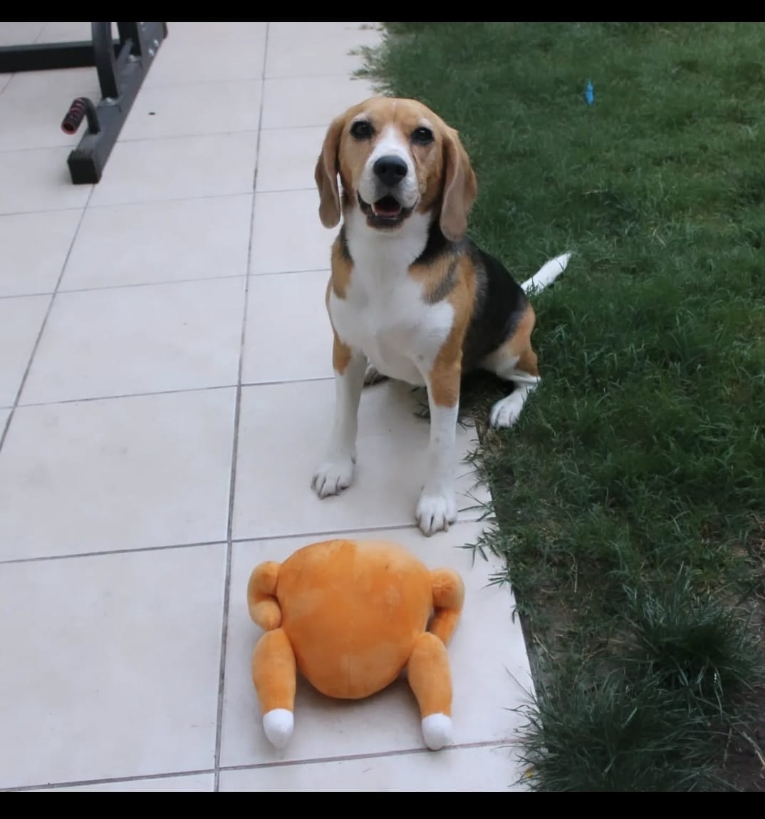 WhatsApp Image 2025-01-13 at 00.19.09