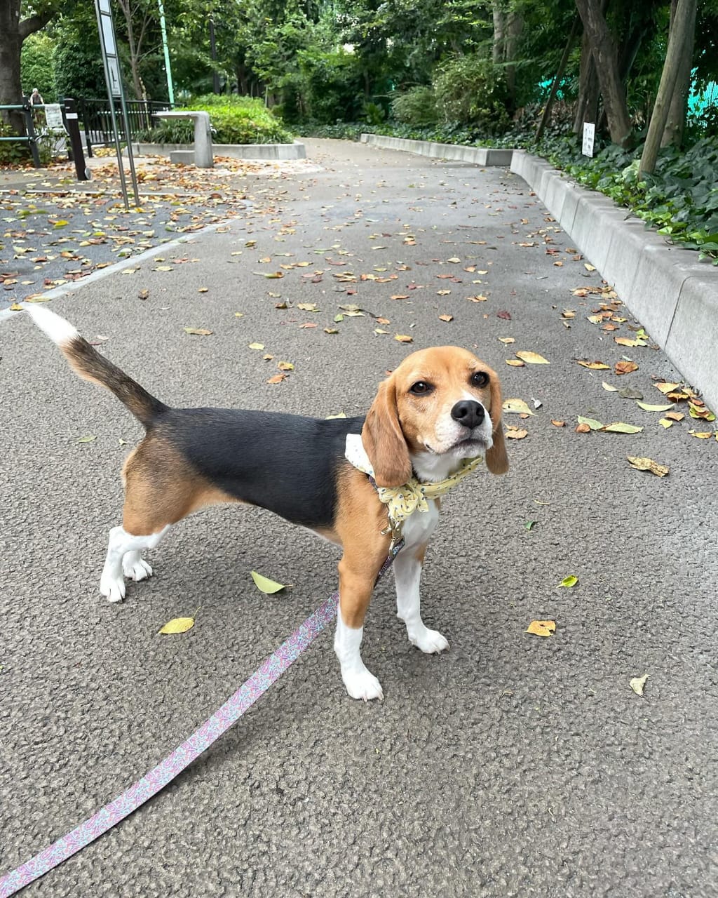 WhatsApp Image 2025-01-13 at 00.30.54