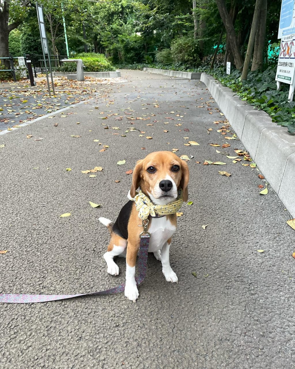 WhatsApp Image 2025-01-13 at 00.30.56