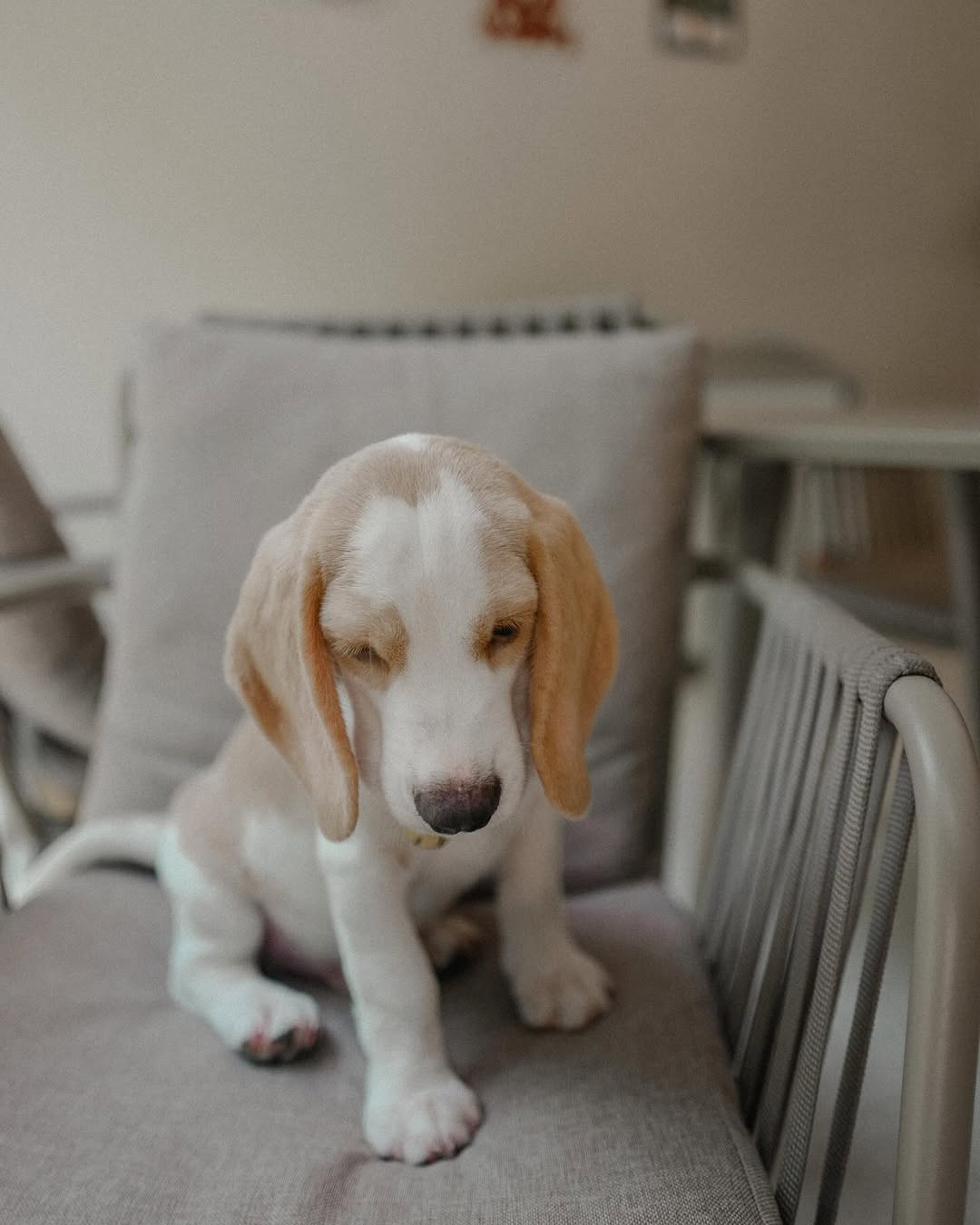 WhatsApp Image 2026-01-02 at 6.42.27 PM